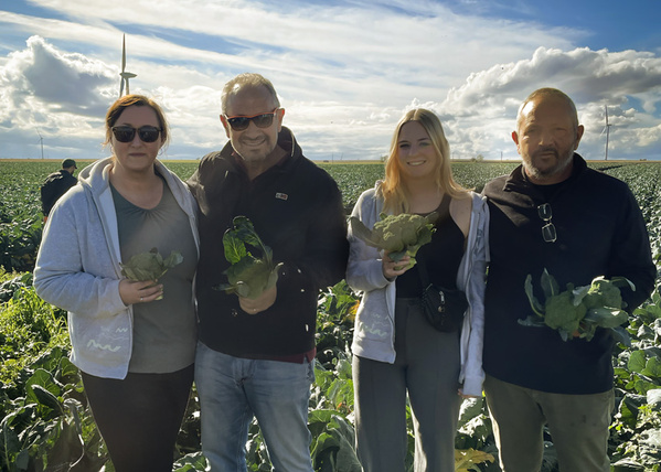 Alina, Carmen und Guiseppe und Francesco die Lauro auf dem Feld mit Brokkoli