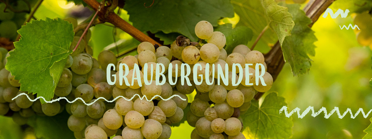 Mönchsbart Stängel mit Schriftzug: Mönchsbart - mediterraner Frühlingsbote mit Meer Aroma