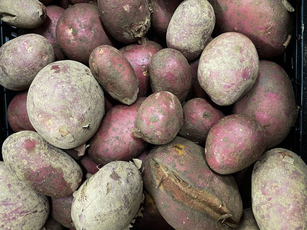 Kartoffeln groß klein Schalenfehler