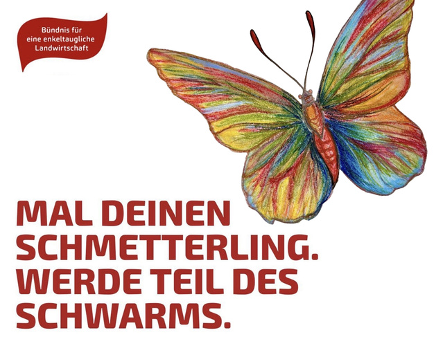 Kochzutaten und -gerichte mit Text: "Kochboxen. Sag uns deine Meinung. Mach mit bei unserer Gruppen-Diskussion und Gewinne tolle Preise."