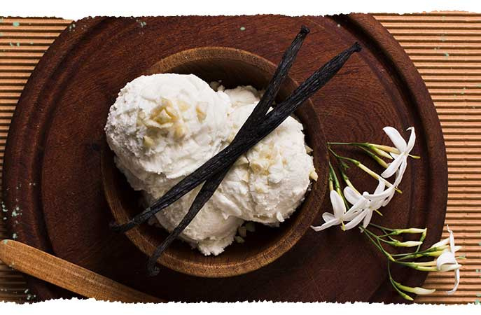 Vanilleeis mit Vanilleschoten