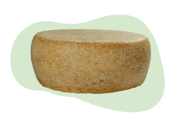 Backensholz Michel Kuh & Ziege