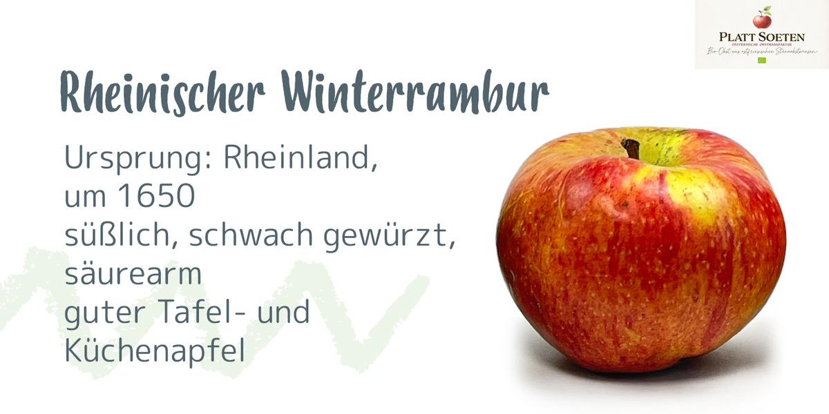 Ein Apfel mit der Beschriftung "Celler Dickstiel", Ursprung: Mecklenburg, um 1800, säuerlich-süß, aromatisch.