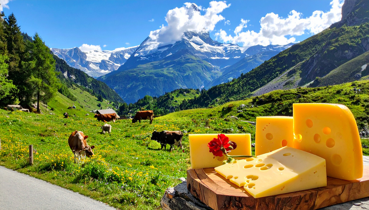 KI generiert: Käse auf einem Holzbrett in einer alpinen Landschaft mit grasenden Kühen und Bergen im Hintergrund.
