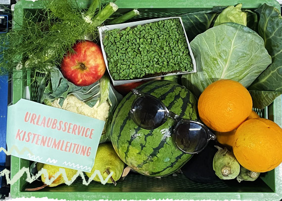 Hand mit Pflänzchen