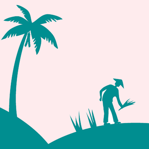 Terrasana Illu kachel_Palme Reis