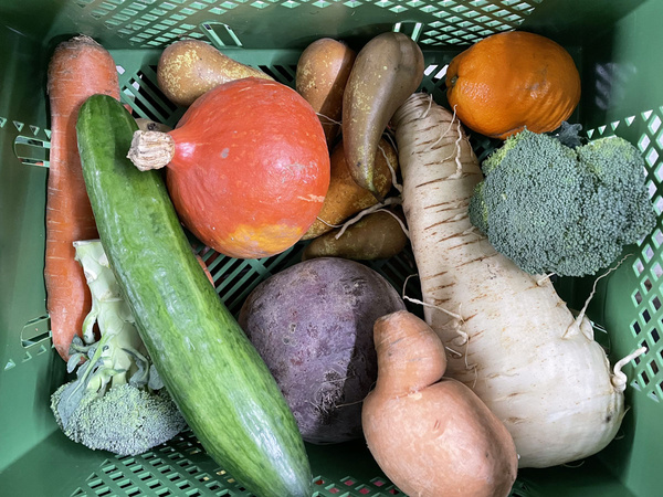 krummes Gemüse mit Schönheitsfehlern