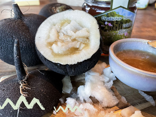 schwarzer Rettich - WissenSnack2Go - Blog - Biobote
