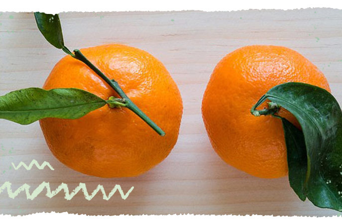 Clementine neben Mandarine