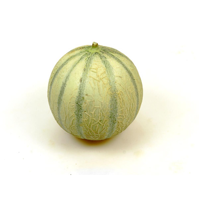 Produktfoto zu Honigmelone Cantaloupe, ca. 700g