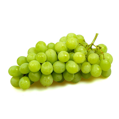 Produktfoto zu Trauben weiß kernlos