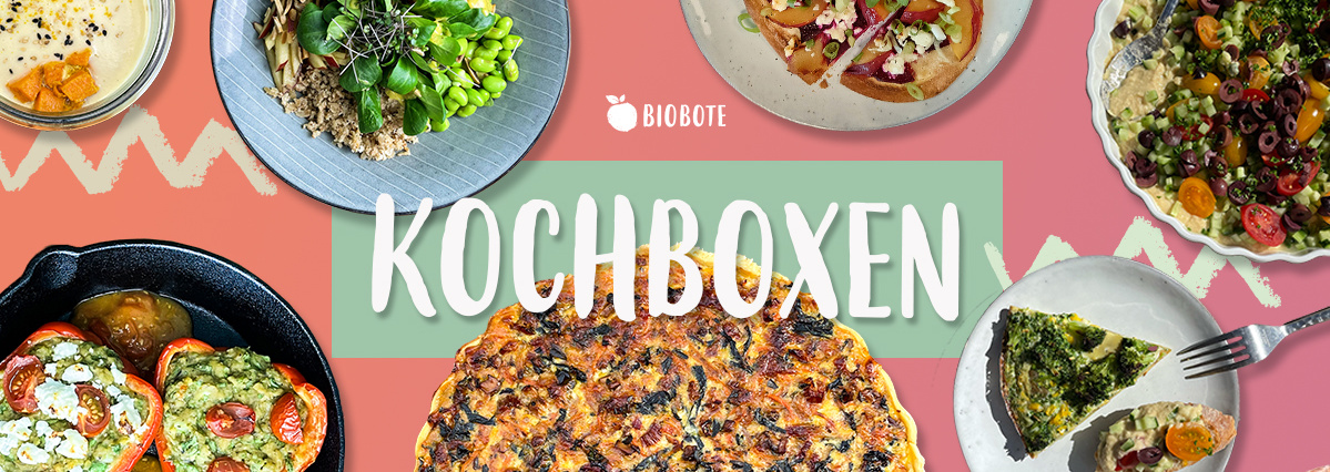 KI generiert: Verschiedene Gerichte und der Text "Biobote Kochboxen".