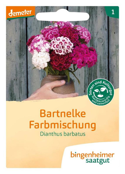 Produktfoto zu Bingenheimer Saatgut - Bartnelke