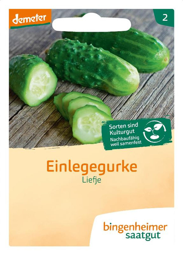 Produktfoto zu Bingenheimer Saatgut - Einlegegurke Liefje