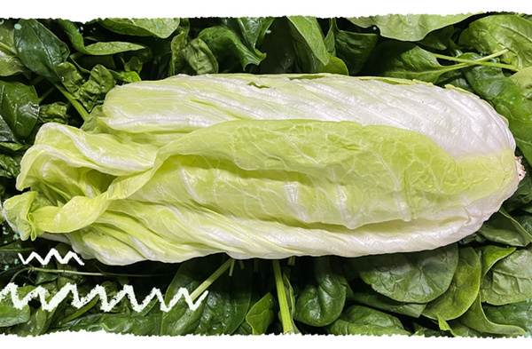 Zuckerhut Salat