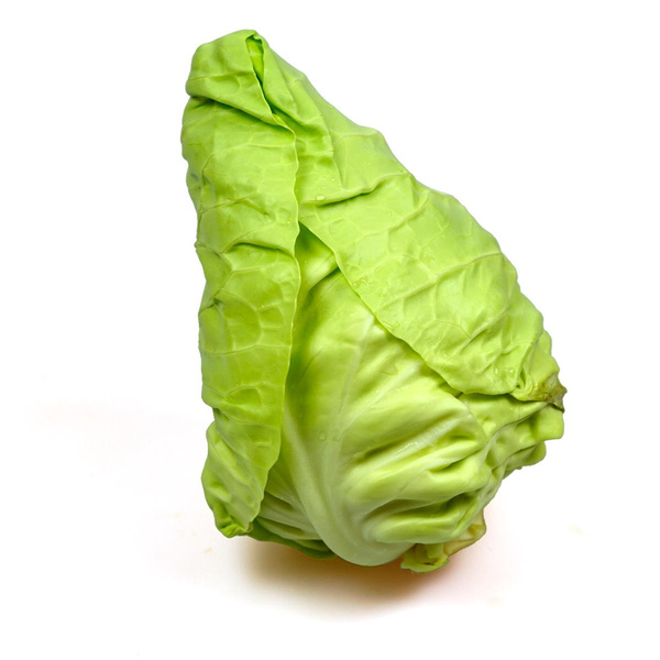 Produktfoto zu Spitzkohl, klein - ca. 500g (erste deutsche Ernte)