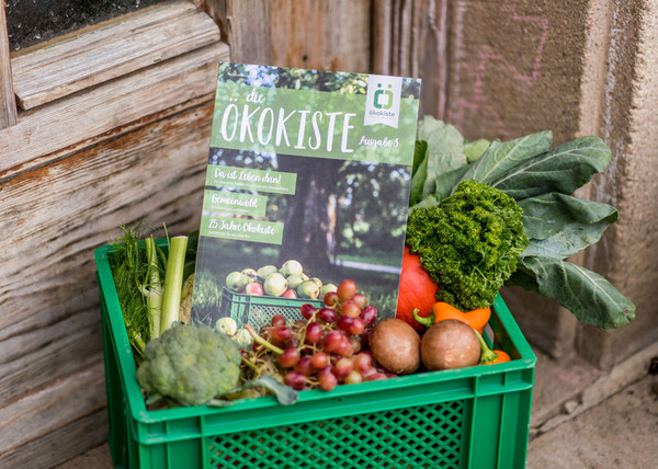 Das ökokisten magazin in der grünen Kiste