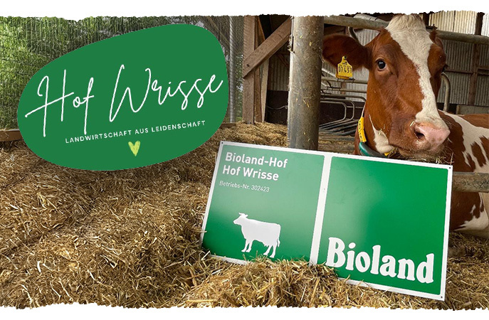 KI generiert: Eine Kuh liegt im Stall neben einem Bioland-Schild. Text: "Hof Wrisse Landwirtschaft aus Leidenschaft".
