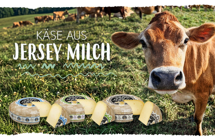 Eine Kuh auf der Wiese, Käselaibe im Vordergrund. Text: "Käse aus Jersey Milch".
