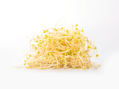 Produktfoto zu Alfalfa Sprossen - 100g