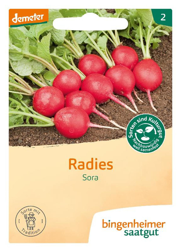 Produktfoto zu Bingenheimer Saatgut - Radieschen
