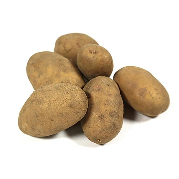 Produktfoto zu Kartoffeln - festkochend, Sorte Belinda - 1kg