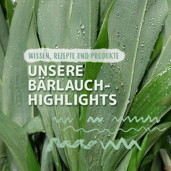 KI generiert: Nahaufnahme von Bärlauch mit Text: "Wissen, Rezepte und Produkte - Unsere Bärlauch-Highlights".