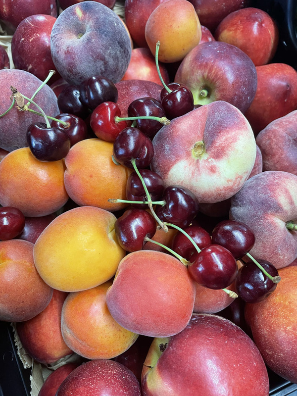 KI generiert: Verschiedene frische Früchte: Aprikosen, Kirschen, Pfirsiche und Nektarinen in einem Korb.