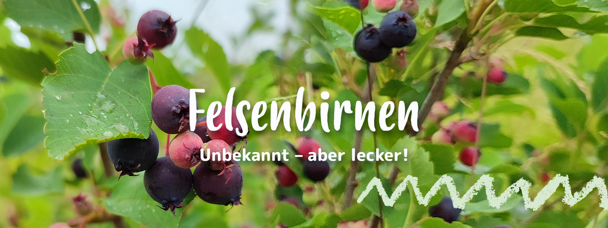 Header Fellsenbirnen Unbekannt, aber lecker!