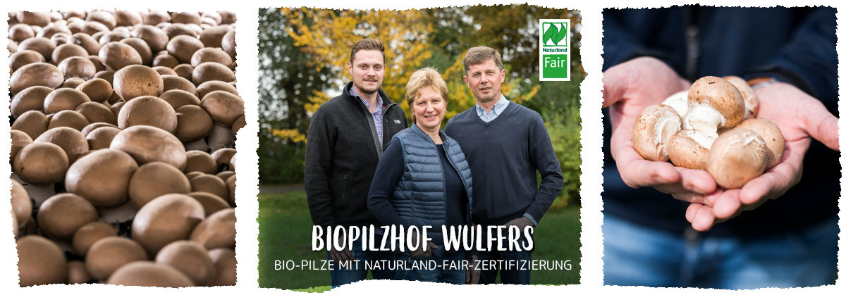  Bild: Eine Hand hält Mangold.   Mittleres Bild: Tim Veith mit Gemüsekorb. Text: "BIOHOF GELLERMANN - BIOLAND AUS OSTFRIESLAND".   Rechtes Bild: Junge Pflanzen in Erde.
