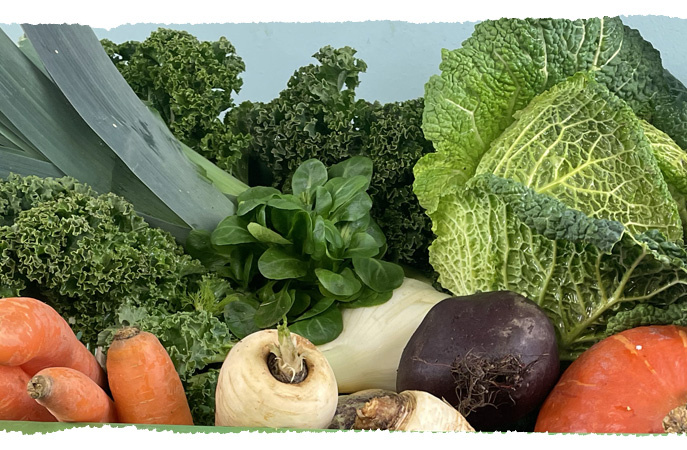 Auswahl an winterlichen Gemüsesorten wie Wirsing, Feldsalat, Grünkohl, Porree, Rüben