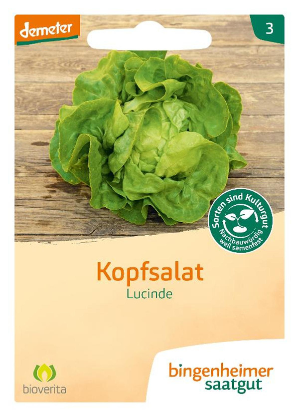 Produktfoto zu Bingenheimer Saatgut - Kopfsalat