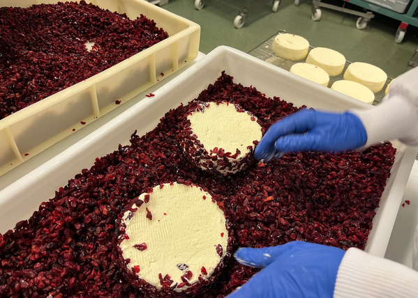 LeDuc_Fromagerie DelinKäse wird in einer Wanne mit roten Beeren gewälzt. Hände tragen blaue Handschuhe.